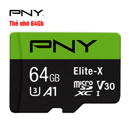 PNY P-SDU64GU3100EX-GE